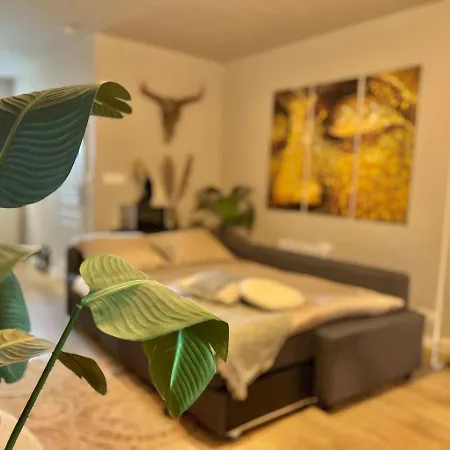 Prachtige Met Airconditioning 