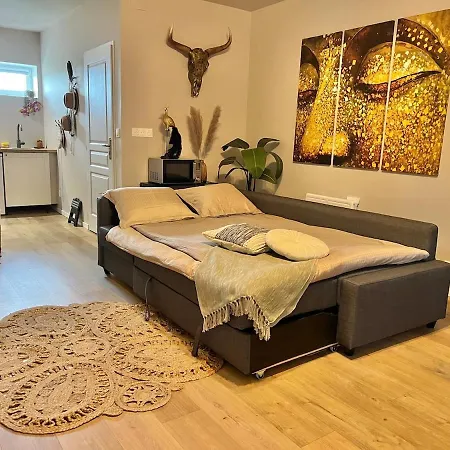 Prachtige Met Airconditioning 