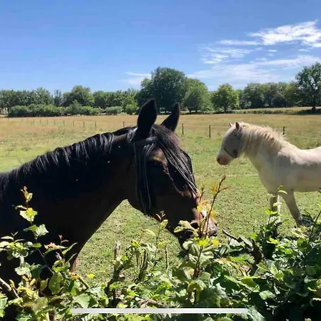 Apartman Prachtige Met Airconditioning 