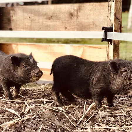 Prachtige Met Airconditioning 